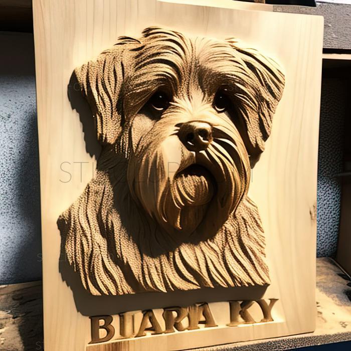 St Barry the dog известное животное